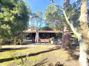 Villa lumineuse avec grand jardin, au calme, proche plages et commerces au cœur de Petit-Piquey - FR-1-736-30